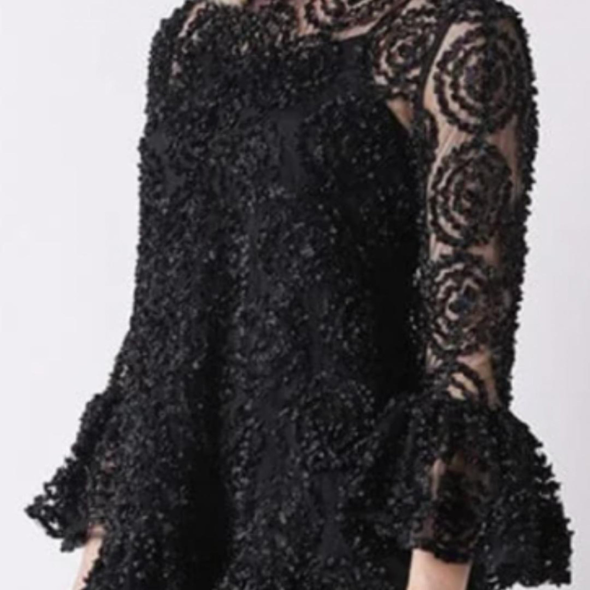 Sheer Black Dress