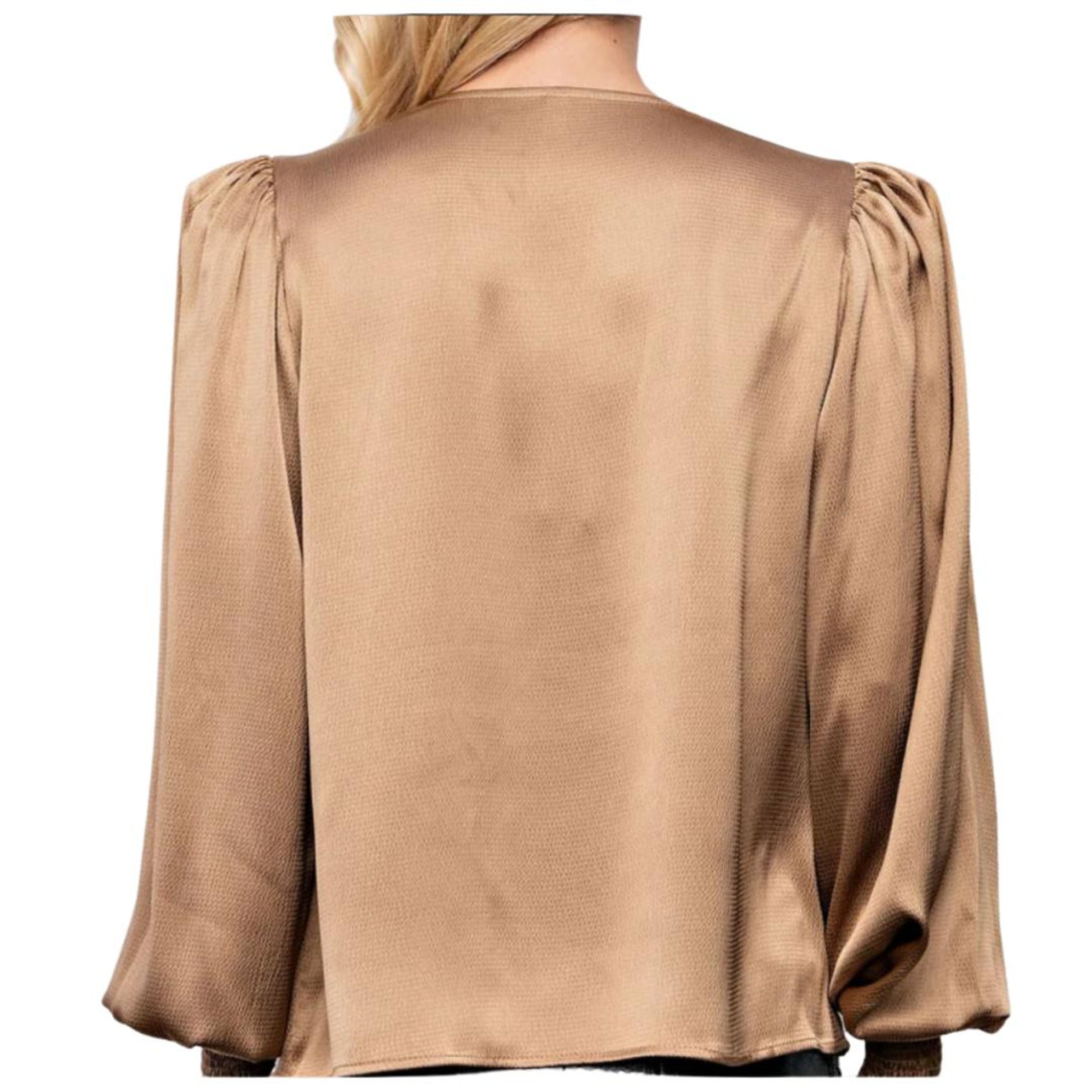 Satin long sleeves blouse